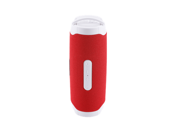 iHome Arena Live Wireless Speaker