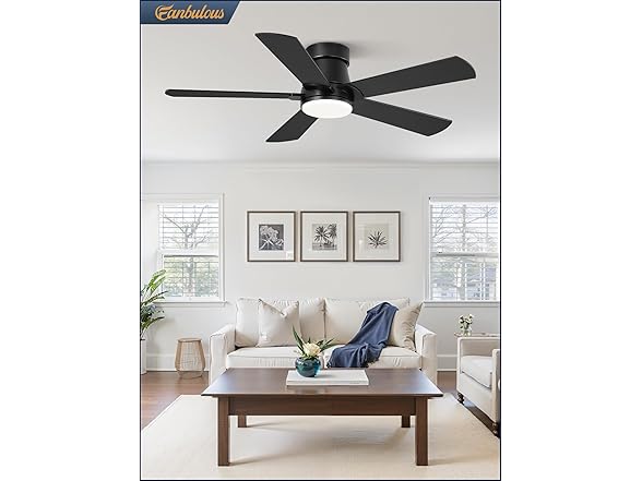 Fanbulous 42" Ceiling Fan W/Light