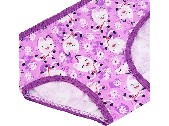 DreamWorks Gabby Dollhouse Panties (2/3T)