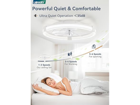LEDIARY 20" Low Profile Ceiling Fan