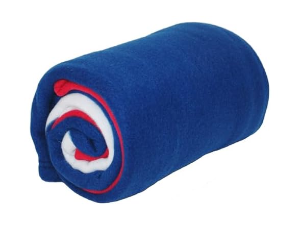 Cozy-Soft Microfleece Travel Blanket (TX)