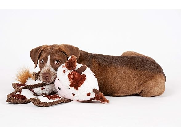 Cuddle Tugs Bunny Plush Squeaky Dog Toy