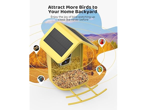 Bird Feeder with Camera Solar Powered