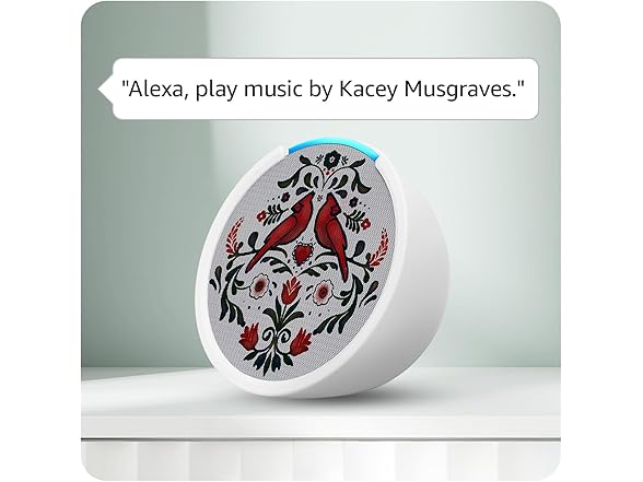 (NEW) Echo Pop | Limited Edition Kacey Musgraves