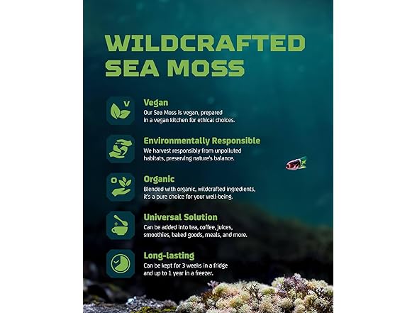 Irish Sea Moss Raw Wildcrafted, 4oz