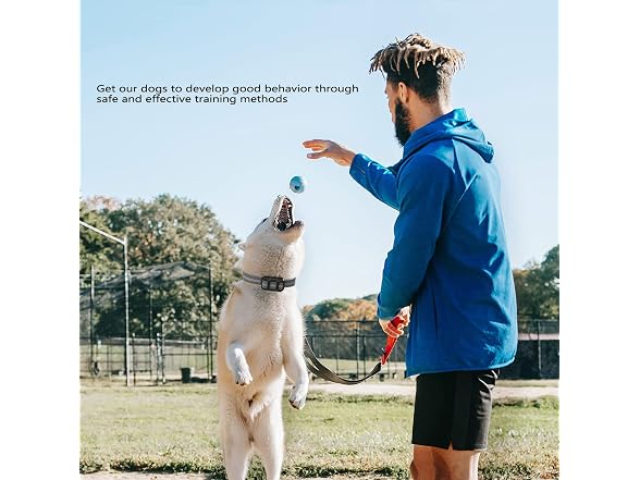 Pet Dog Stop Bark Training Collar with Remote