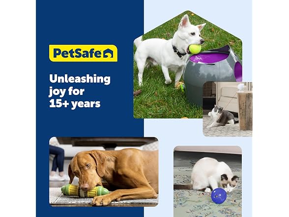 PetSafe Busy Buddy Dog Treat Rings