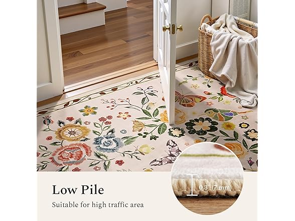 Rugflix 2x6 Runner Rug for Hallway