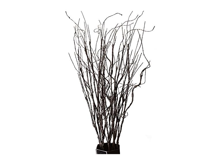 10 PC Lifelike Curly Willow Branches