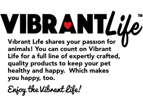 Vibrant Life Cozy Buddy Duck