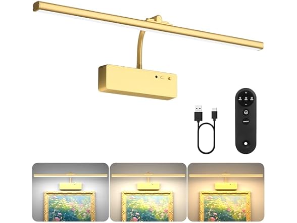 Lightbiz Picture Light 20in Gold