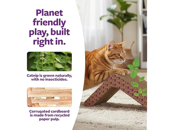 SmartyKat Scratch Ladder Angled Cat Scratche