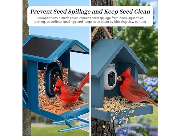 Bird Feeder with Camera