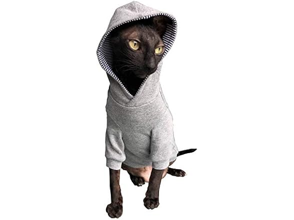Sphynx Cat's Hoodie Ingrey Naked Cat Hairles