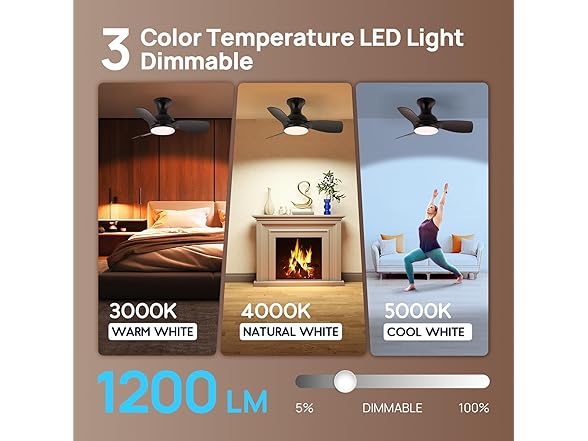 Consciot Ceiling Fan With Lights 30 Inch, Black