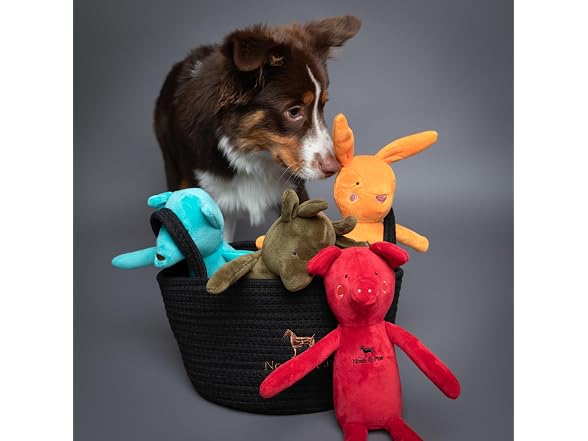 NOAH & PAW Luxury Dog Toy Basket Set