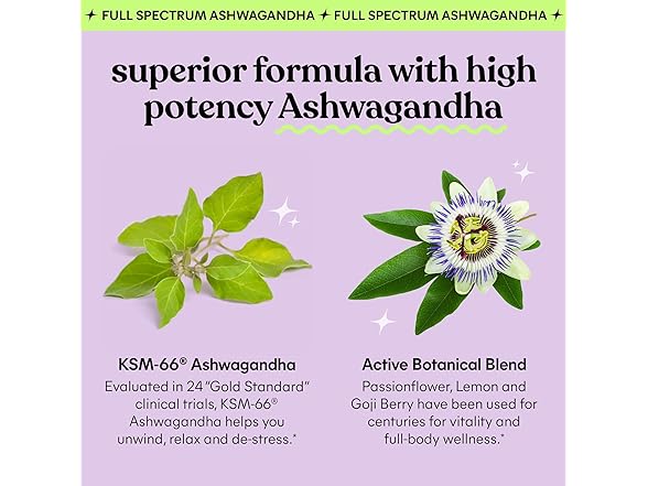 Lemme Chill Stress Gummies Ashwagandha 60ct