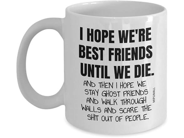 Funny best friend mug