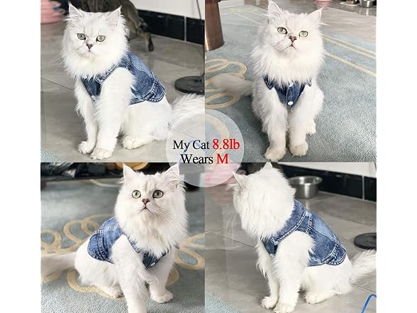 Jean Jacket for Dogs Blue Lapel Vest Coat Co
