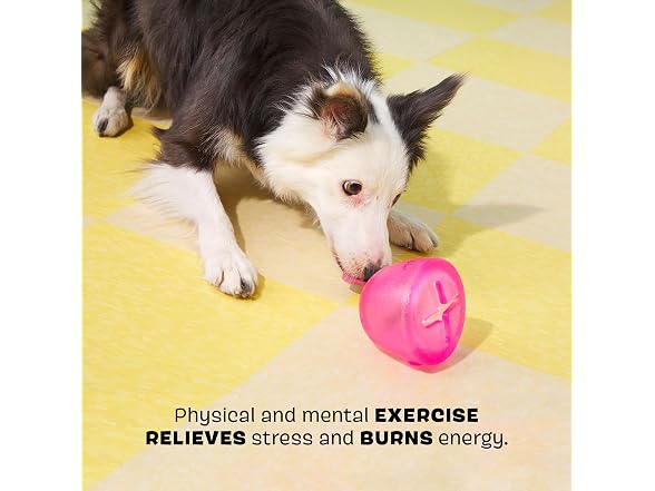 BarkBox Treats N' Sweets Gumdrop Rubber Dog Toy