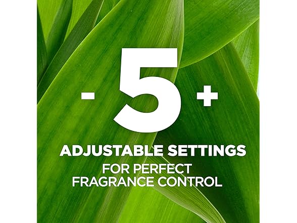 Air Wick Fall Scent Refill, 5ct