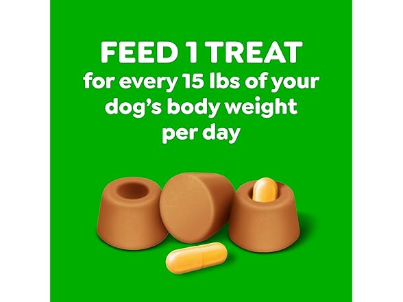 Greenies Pill Pockets for Dogs Large Size