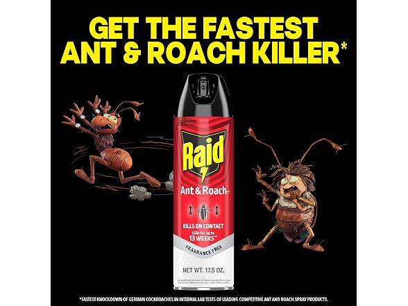 Raid GAR-95 Ant & Roach Killer, 2 Count