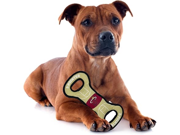 Pets First NBA Miami Heats Field Toy. - Tough Nylon