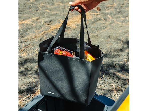 Dometic Recon Cooler Transportation Tote