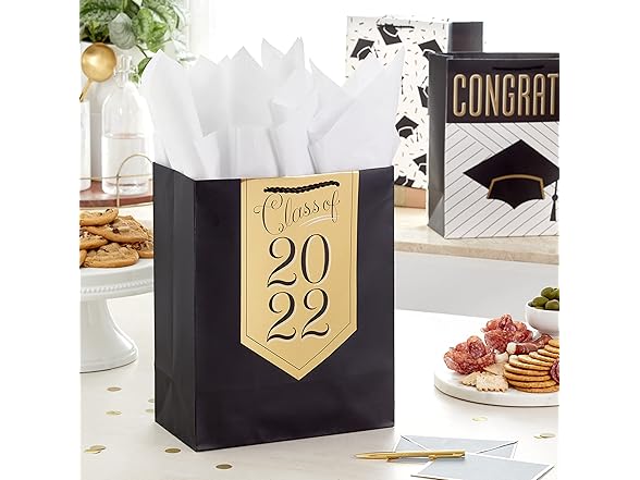 Hallmark 13" Large Graduation Gift Bags Assortment