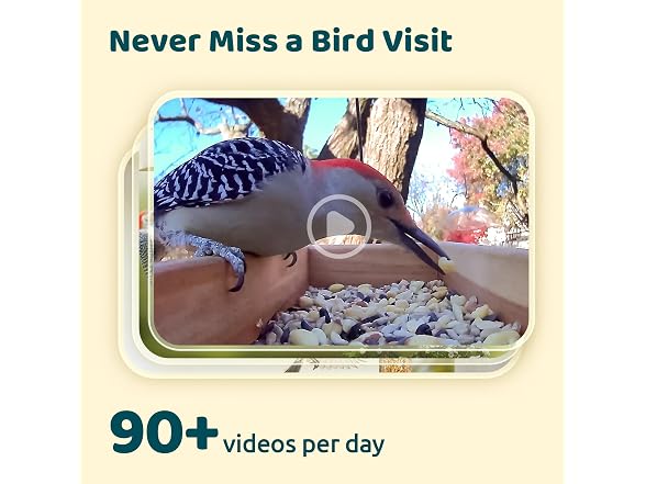 NETVUE Birdfy Bird Camera for Feeder