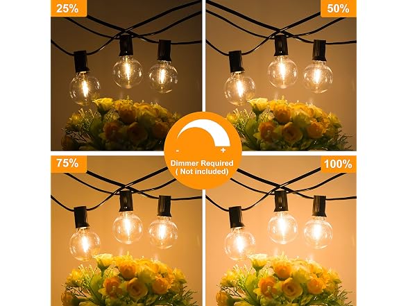 Bosceos 300FT G40 Globe String Lights