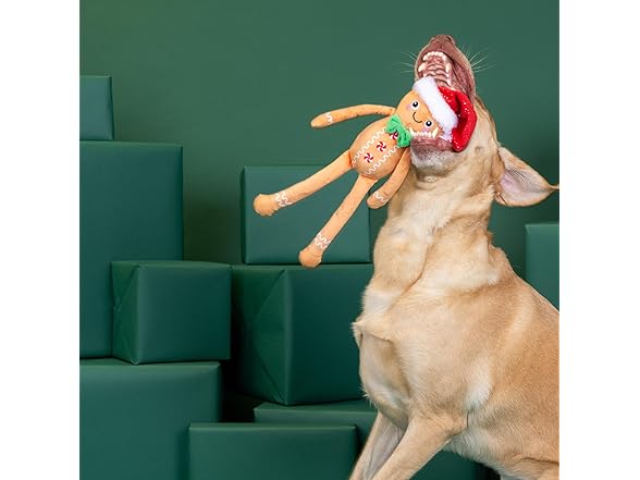 Fringe Studio Pet Toy, Seasons Eatings!