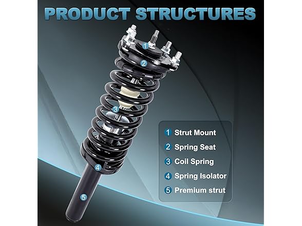 EVERESTWAY Rear Struts w/Mounts