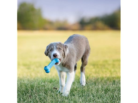 Puppy Kong Goodie Bone