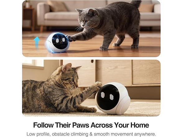 Endliss Smart Mobile Pet Camera Robot
