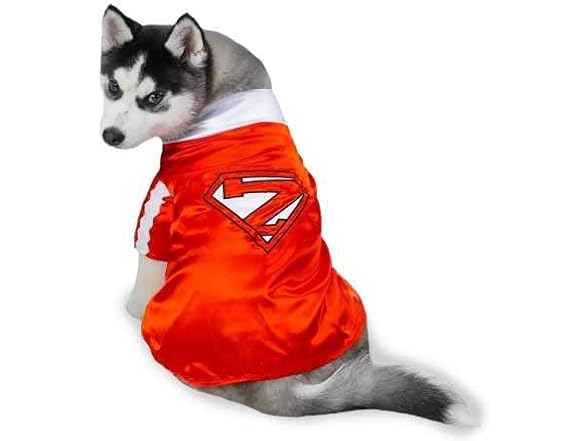Casual Canine Mighty Mutt Pet Costume Small