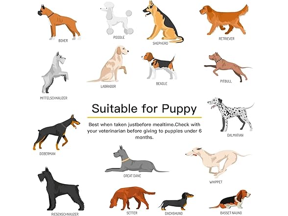Penkyer Probiotics for Dogs