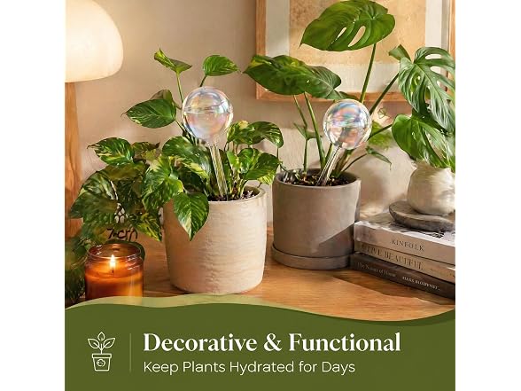 szoszo GAR-23 2-Pack Glass Self Watering Globes