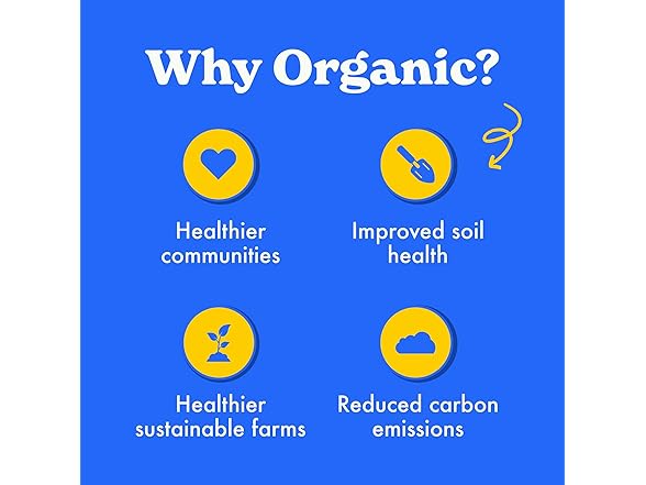 MadeGood Chocolate Chip Cookies 0.85oz