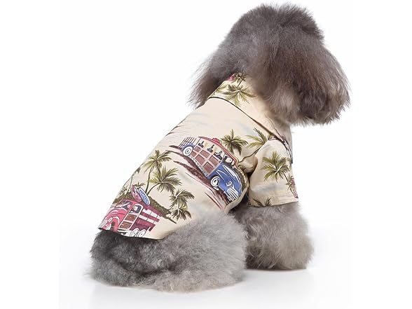 Tangpan Summer Pet Daisy Hawaiian Beach Plai