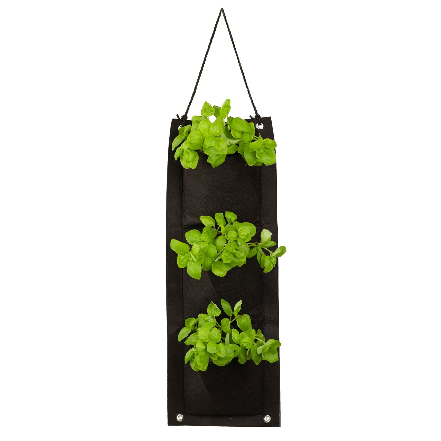 Touch Of ECO Organic Hanging Herb Kit - Gallery 13
