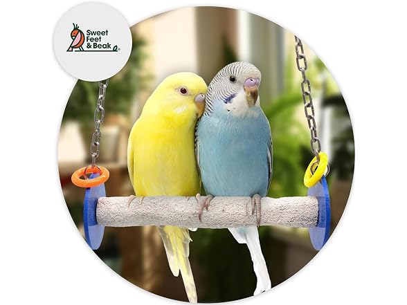 Sweet Feet and Beak Roll Bird Swing