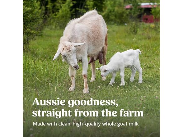 Bubs Whole Goat Milk Infant Formula 20oz