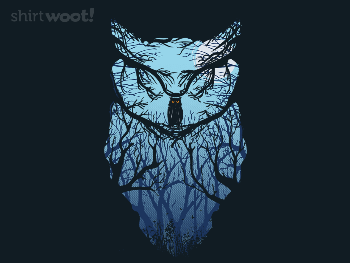 Rising Owl - Gallery 4