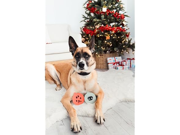 Pearhead Pearhead Pet Christmas Clean Touch Ink
