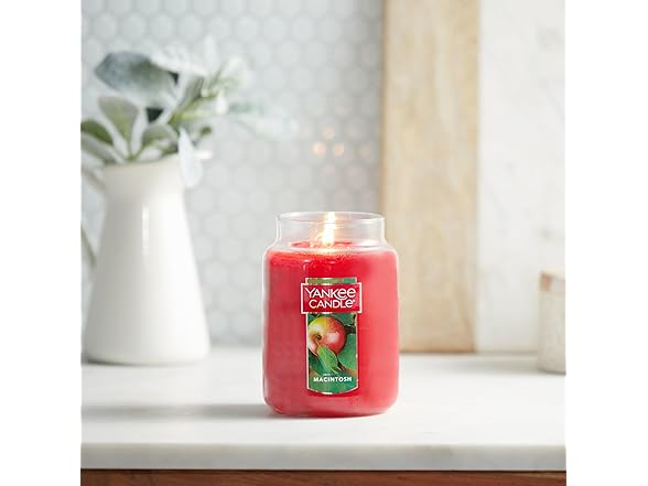 Yankee Candle Macintosh Large Classic Jar Candle