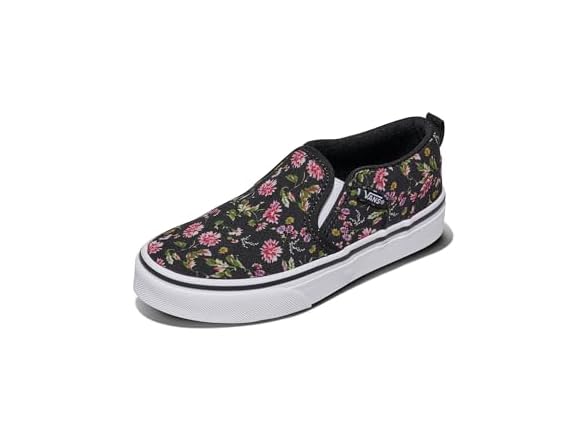 Vans Asher Slip-On Shoe