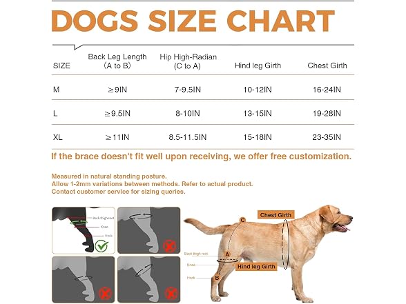 LISPOO Dog Knee Brace for ACL/CCL Injuries,To