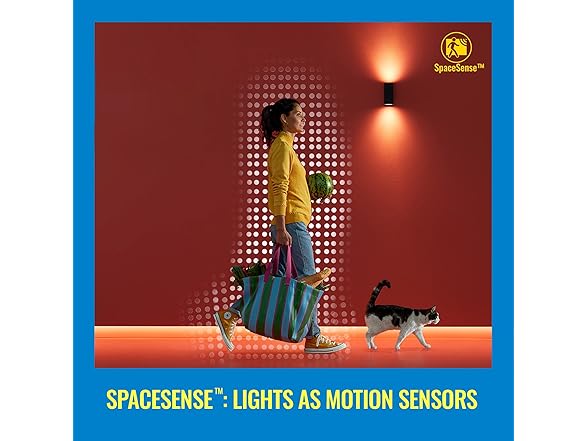 WiZ Connected LED Color Changing Outdoor Spotlight Ext